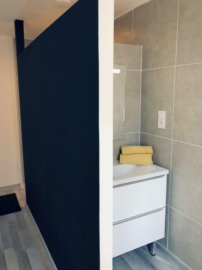 Spacieux, Climatise, Quartier Calme, Proche Chateau, Le Cocon De Joy Carcassonne Exterior photo